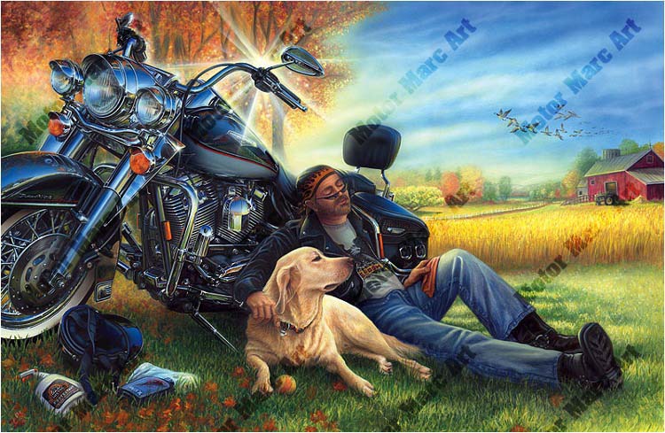 Gildheikson Silva - biker and motorcycle (motoqueiro e moto)