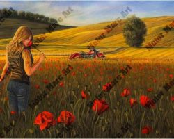 Motorcycle Artwork - Indian Motorcycles by Marc Lacourciere