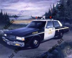 Police Artwork by Marc Lacourciere