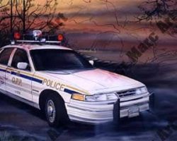 Police Artwork by Marc Lacourciere