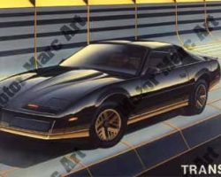 Trans AM Artwork by Marc Lacourciere