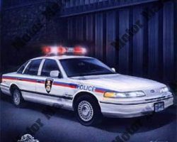 Police Artwork by Marc Lacourciere