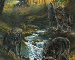 Motorcycle Artwork - Wildlife Series by Marc Lacourciere